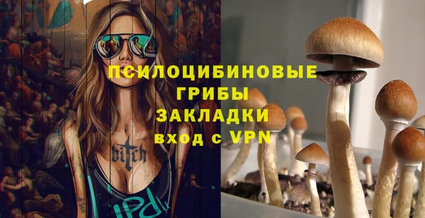 ПСИЛОЦИБИНОВЫЕ ГРИБЫ Беломорск